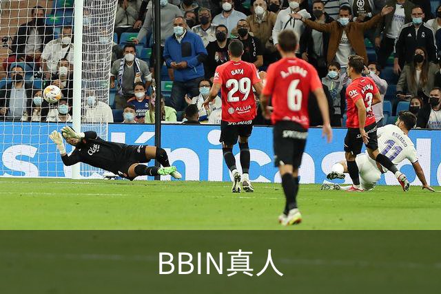BBIN真人公司简介